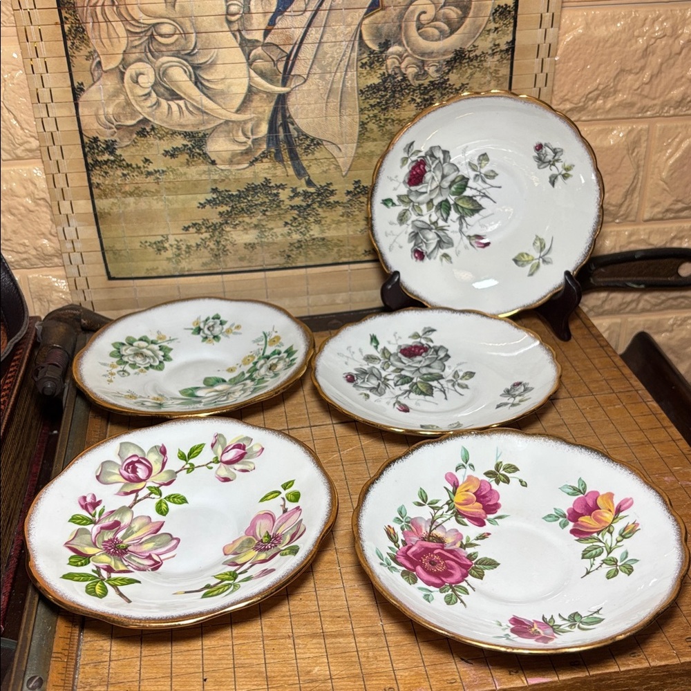 Rosina England Bone China Set of 5 Saucers 5.75”D Mixed Roses Brushed Gold Trim